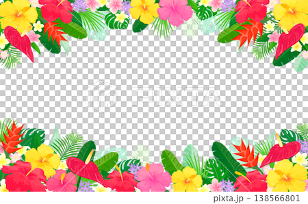 トロピカルな植物の透過フレーム3_横 138566801