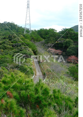 自然に囲まれた道 138567850