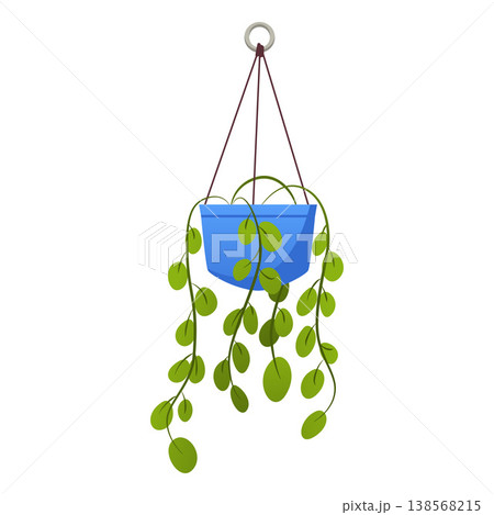Green plants growing in hanging blue pot, vector flat houseplant hang on knitted rope, floral interior design element 138568215