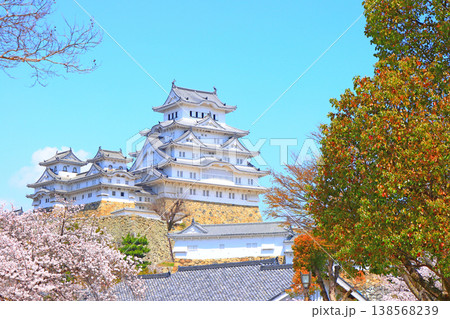 兵庫県姫路市、満開の桜と姫路城の風景 138568239