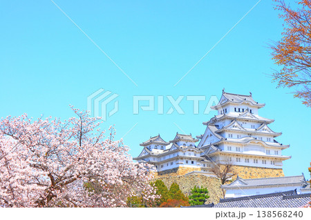 兵庫県姫路市、満開の桜と姫路城の風景 兵庫県姫路市、満開の桜と姫路城の風景 138568240