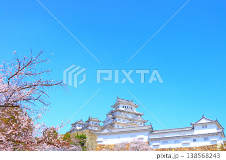兵庫県姫路市、満開の桜と姫路城の風景 兵庫県姫路市、満開の桜と姫路城の風景 138568243