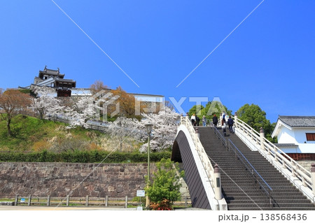 【京都府】桜が満開の福知山城と昇龍橋 【京都府】桜が満開の福知山城と昇龍橋 138568436