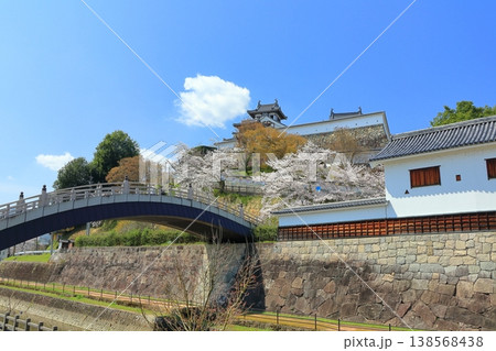 【京都府】桜が満開の福知山城と佐藤太清記念美術館 138568438