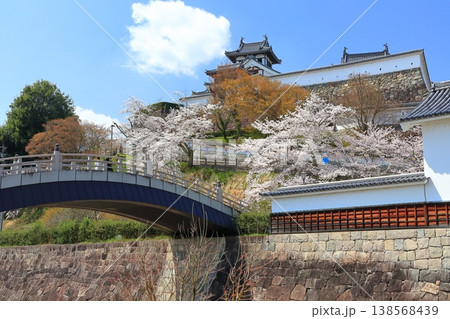 【京都府】桜が満開の福知山城 138568439