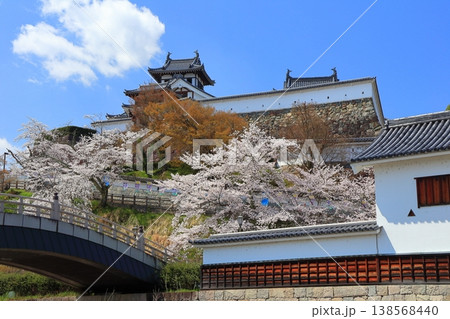 【京都府】桜が満開の福知山城 138568440