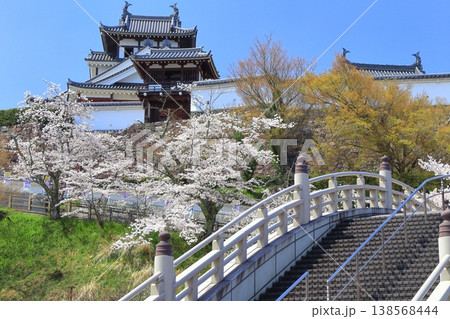 【京都府】桜が満開の福知山城と昇龍橋 138568444