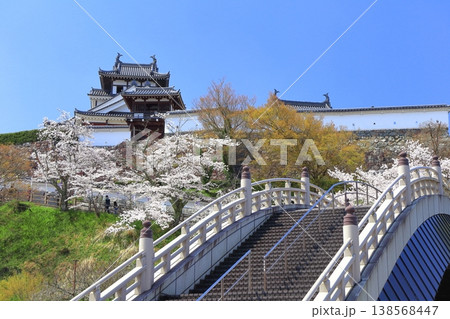【京都府】桜が満開の福知山城と昇龍橋 【京都府】桜が満開の福知山城と昇龍橋 138568447