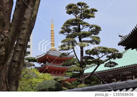福岡市博多区「東長寺の五重塔」 福岡市博多区「東長寺の五重塔」 138568656