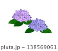 あじさい　紫陽花　かわいい　イラスト 138569061