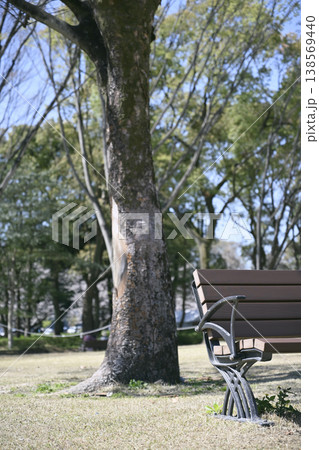 名城公園の芝生広場にある木陰のベンチ 名城公園の芝生広場にある木陰のベンチ 138569440