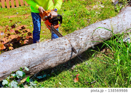 Contractor is using chainsaw to cut large log in backyard while weeds after strong wind Contractor is using chainsaw to cut large log in backyard while weeds after strong wind 138569986