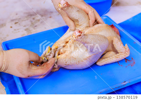Butcher uses gloves to handle chicken on blue tray in kitchen area preparation for cooking. Butcher uses gloves to handle chicken on blue tray in kitchen area preparation for cooking. 138570119