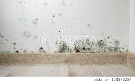 Mould and fungus growth on white wall Mould and fungus growth on white wall 138570284