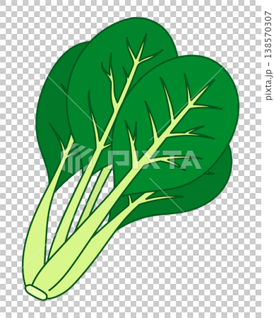 小松菜 138570307