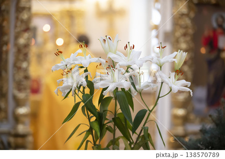 White lilies arranged elegantly in front of a golden altar during a religious ceremony in a serene location White lilies arranged elegantly in front of a golden altar during a religious ceremony in a serene location 138570789