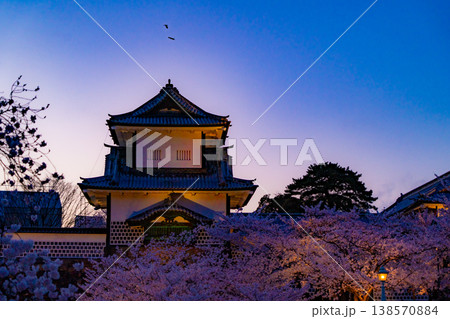 満開の桜に包まれた金沢城石川門の春景色 138570884