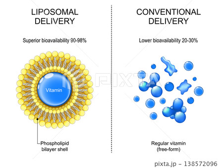 Liposomes for drug delivery. Comparison of conventional free form vitamin and vitamin in phospholipid bilayer shell. Liposomes for drug delivery. Comparison of conventional free form vitamin and vitamin in phospholipid bilayer shell. 138572096