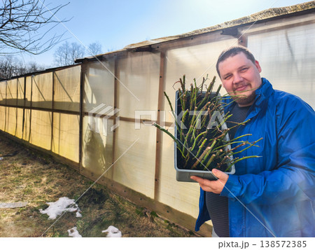 Man smiling while holding a tray of thorny rose cuttings in front of a greenhouse, preparing them for propagation and planting in a successful horticulture effort. 138572385