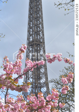 トロカデロ広場から、桜とエッフェル塔　パリ　2026年3月30日 138572519