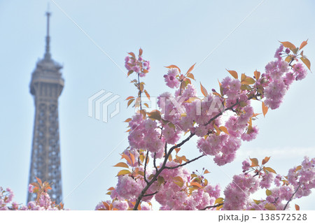 トロカデロ広場から、桜とエッフェル塔　パリ　2026年3月30日 138572528