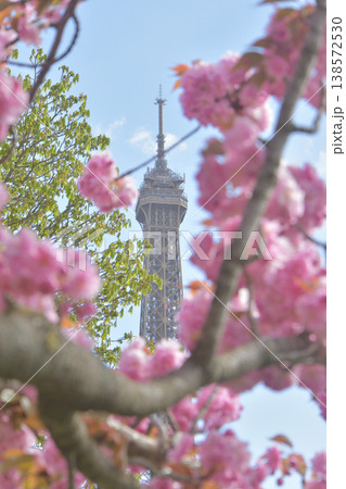 トロカデロ広場から、桜とエッフェル塔　パリ　2026年3月30日 138572530