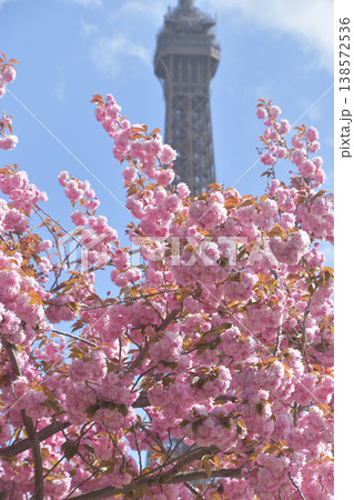 トロカデロ広場から、桜とエッフェル塔 パリ 2026年3月30日 トロカデロ広場から、桜とエッフェル塔 パリ 2026年3月30日 138572536