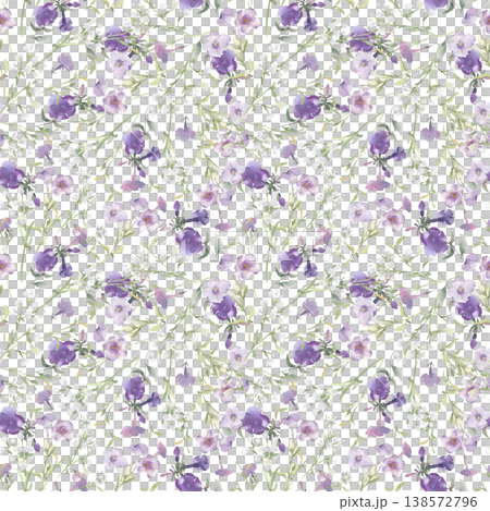 Watercolor wildflowers seamless pattern with little soft meadow grasses isolated white. Botanical spring repeat design pastel colors for textile rustic style. Delicate flowers graphic hand drawn. Watercolor wildflowers seamless pattern with little soft meadow grasses isolated white. Botanical spring repeat design pastel colors for textile rustic style. Delicate flowers graphic hand drawn. 138572796