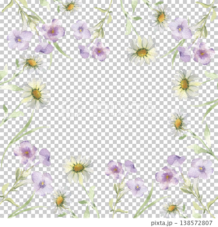 Watercolor frame with white daisy and purple meadow flowers isolated. Botanical illustration hand painted for wedding invitation empty space. Soft meadow blooms template card with place for text. Watercolor frame with white daisy and purple meadow flowers isolated. Botanical illustration hand painted for wedding invitation empty space. Soft meadow blooms template card with place for text. 138572807