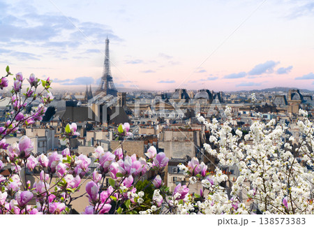 skyline of Paris with eiffel tower 138573383