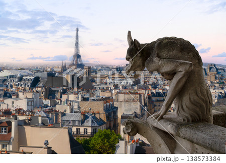 Gargoyle on Notre Dame Cathedral, France 138573384