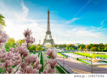eiffel tour and from Trocadero, Paris 138573392
