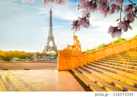 eiffel tour and from Trocadero, Paris 138573395