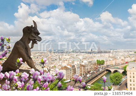 Gargoyle of Paris Gargoyle of Paris 138573404