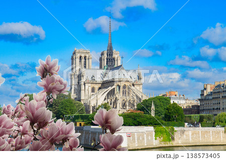 Notre Dame cathedral, Paris France Notre Dame cathedral, Paris France 138573405