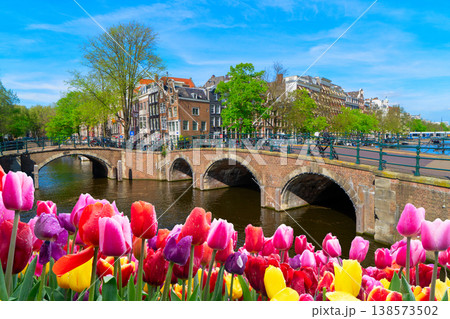 Houses of Amstardam, Netherlands Houses of Amstardam, Netherlands 138573502