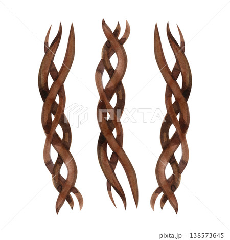 Hand drawn watercolor illustration of intertwined dry tree branches and wooden vines. Realistic forest elements with brown bark textures, perfect for rustic decor, mystical art, and botanical design. 138573645