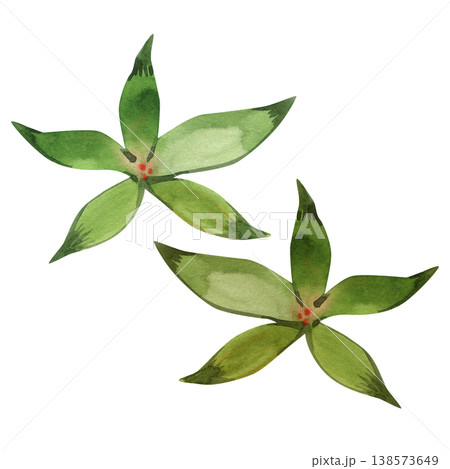 Hand drawn watercolor set of green tropical leaves or star-shaped foliage. These vibrant botanical elements feature rich textures and red accents, perfect for eco branding, invitations, and nature art Hand drawn watercolor set of green tropical leaves or star-shaped foliage. These vibrant botanical elements feature rich textures and red accents, perfect for eco branding, invitations, and nature art 138573649