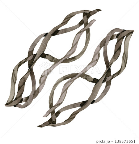 Hand drawn watercolor illustration of intertwined dry tree branches and wooden vines. This realistic forest element features brown bark textures, perfect for rustic decor, mystical art, and botanical Hand drawn watercolor illustration of intertwined dry tree branches and wooden vines. This realistic forest element features brown bark textures, perfect for rustic decor, mystical art, and botanical 138573651