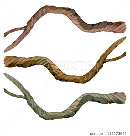 Hand drawn watercolor set of wooden sticks and curved tree branches. Realistic forest elements with brown and mossy textures, perfect for nature themed designs, rustic decor, and botanical art. Hand drawn watercolor set of wooden sticks and curved tree branches. Realistic forest elements with brown and mossy textures, perfect for nature themed designs, rustic decor, and botanical art. 138573655