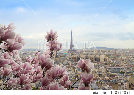 skyline of Paris with eiffel tower 138574051