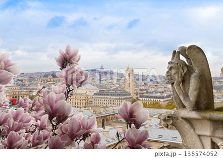 Gargoyle on Notre Dame Cathedral, France Gargoyle on Notre Dame Cathedral, France 138574052