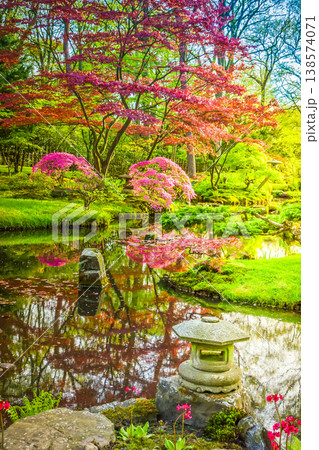 Japanese garden Japanese garden 138574071