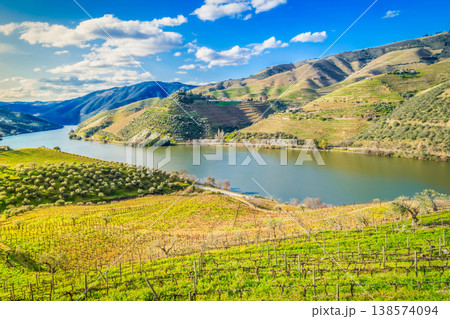 Douro wine valley Douro wine valley 138574094