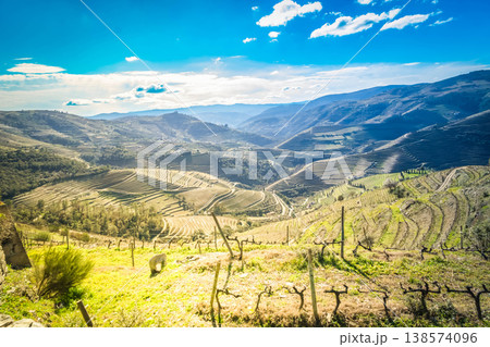 Douro wine valley 138574096