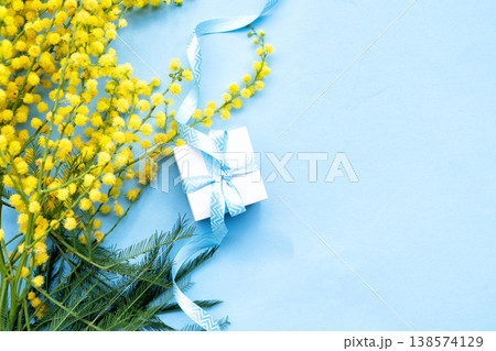 Mimosa flowers on blue background Mimosa flowers on blue background 138574129