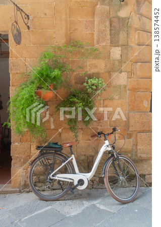 Classic city bike standing by textured wall with hanging plants. Urban lifestyle, sustainable transport and authentic European street scene. 138574452