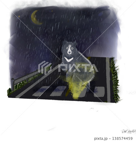 夜の雨の中、横断歩道を渡るクマのイラスト(野生動物注意・交通安全) 夜の雨の中、横断歩道を渡るクマのイラスト(野生動物注意・交通安全) 138574459