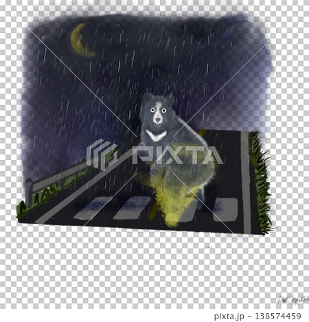 夜の雨の中、横断歩道を渡るクマのイラスト(野生動物注意・交通安全) 夜の雨の中、横断歩道を渡るクマのイラスト(野生動物注意・交通安全) 138574459