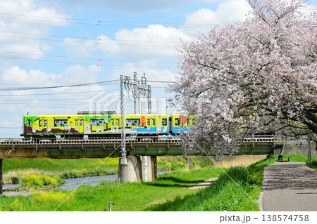 東武50090型51092Fクオッカトレインと桜 138574758